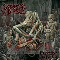 Extreme Violence – Ecstasy In Pain