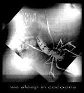 Ingenium – We Sleep In Cocoons