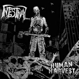 Intestinal – Human Harvest