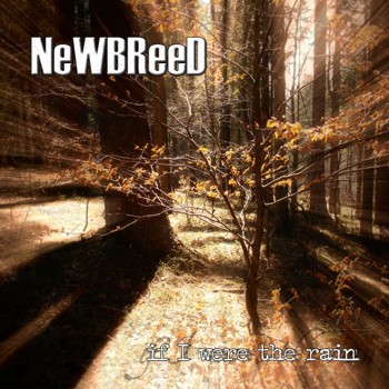 Newbreed – If I Were The Rain