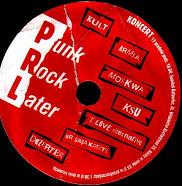 Punk Rock Later