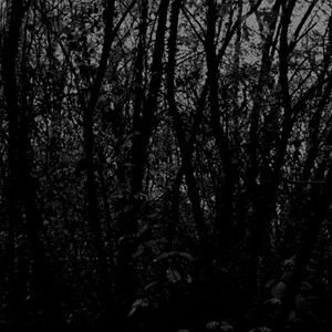 Unfold – Cosmogon