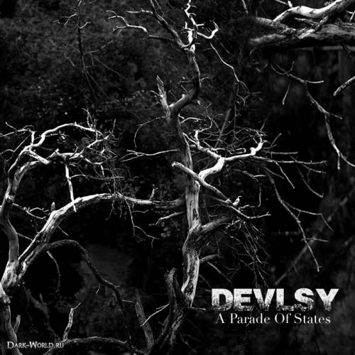 Devlsy – A Parade of States