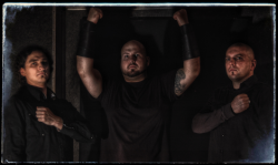 Wieści z obozu Saltus