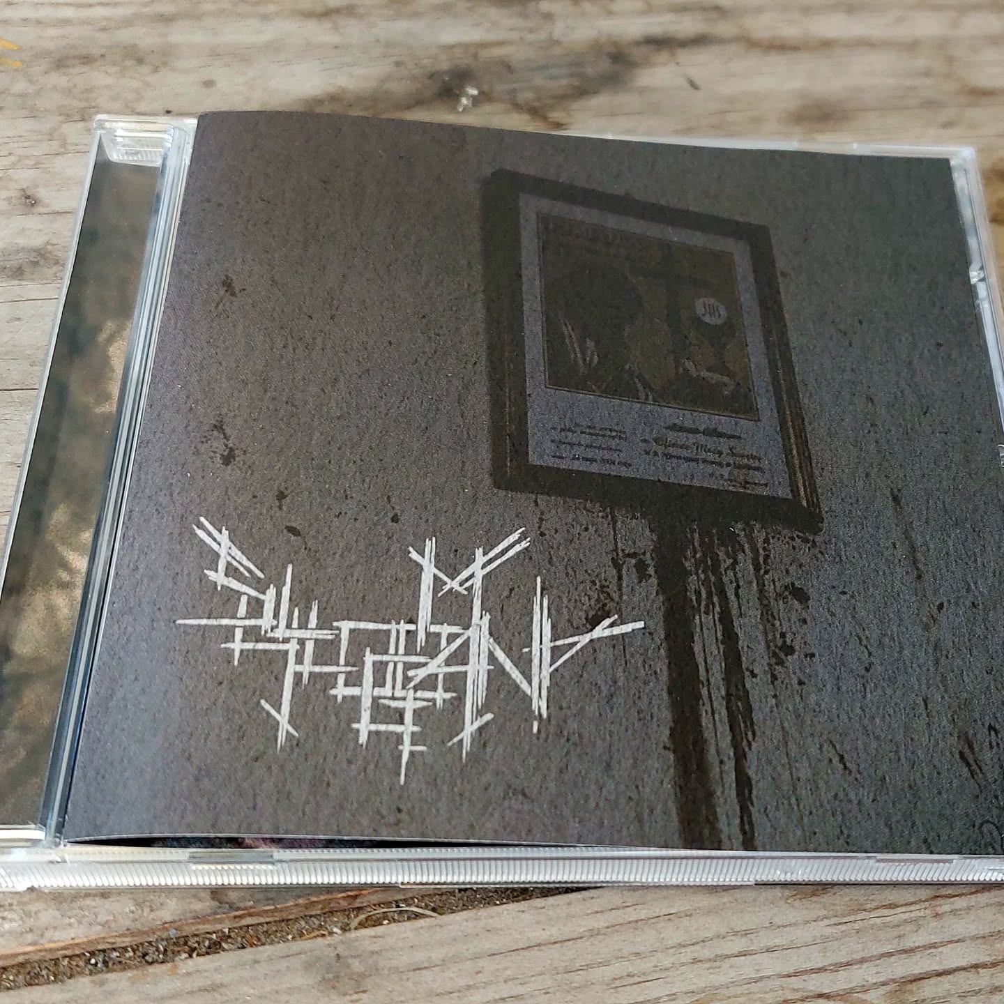 Debiut Syllogomania już jest