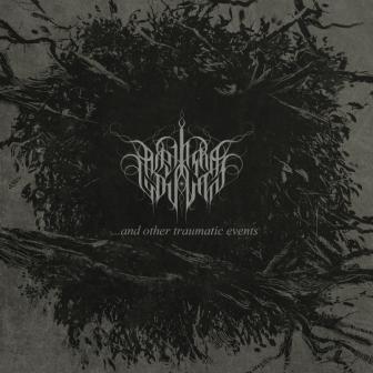 Debiutancki album Anything You Want już jest
