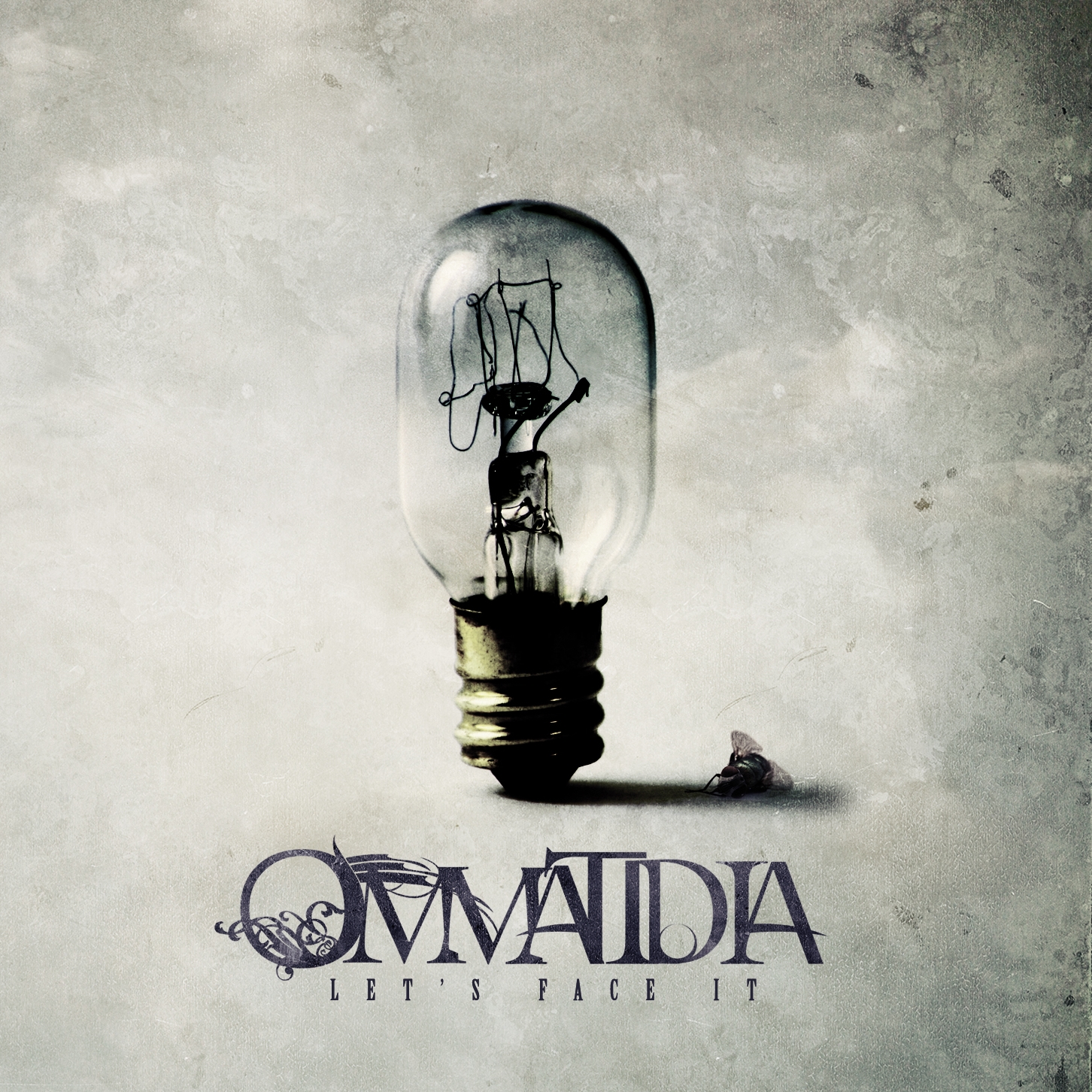 Ommatidia – Let’s Face It