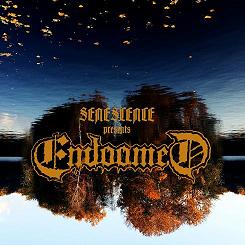 Senescence – Endoomed