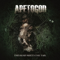 Ape to god – The Head Meets the Tail