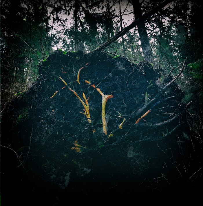 Aūkels – Raynkaym