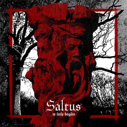 Saltus – W Imię Bogów